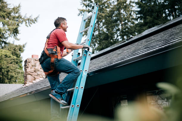 Best Solar Panel Roofing Installation  in Flowing Wells, AZ